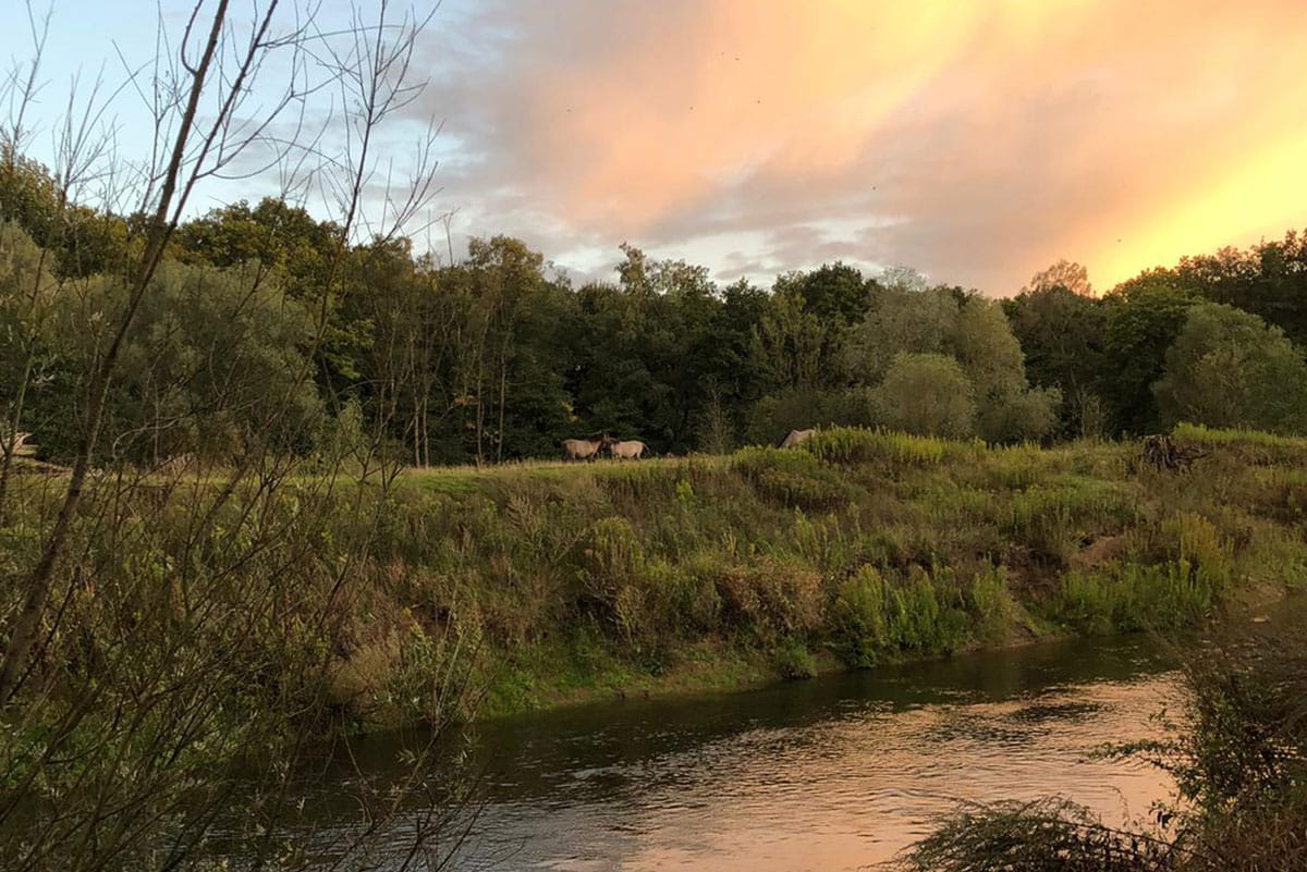 21.12. | RESET*Landpartie – Emsauenwanderung und WINTER/NEST