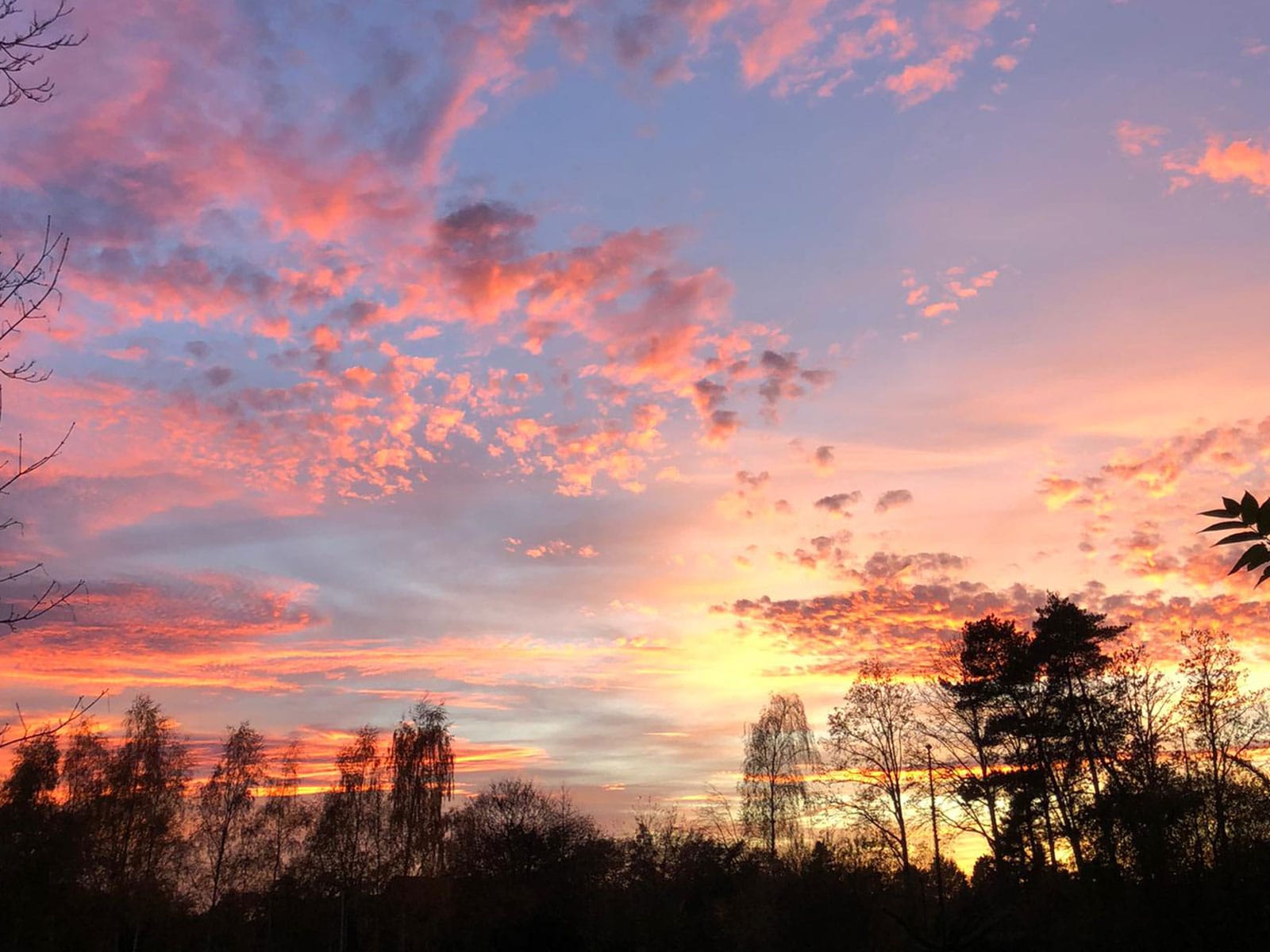 31.01. | RESET*Landpartie – Bockholter Berge und B-SET-Konzertabend